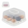 relaxdays Kuchentransportbox Eckige Kuchenbox